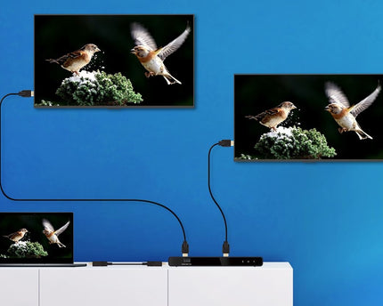 AlarmsysteemExpert.nl HDMI 2-poorts Splitter,  4K 60Hz UHD